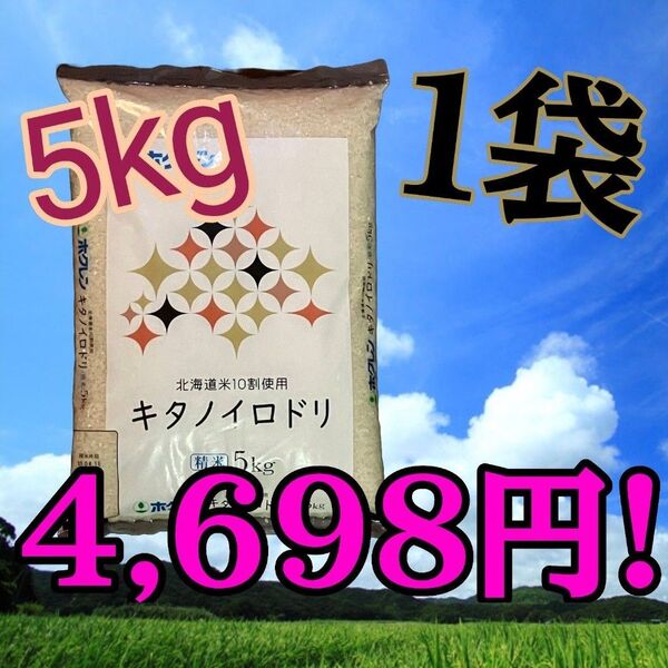 生活応援価格!! ホクレン キタノイロドリ 5kg 精米 北海道産 ブレンド米 白米 お米