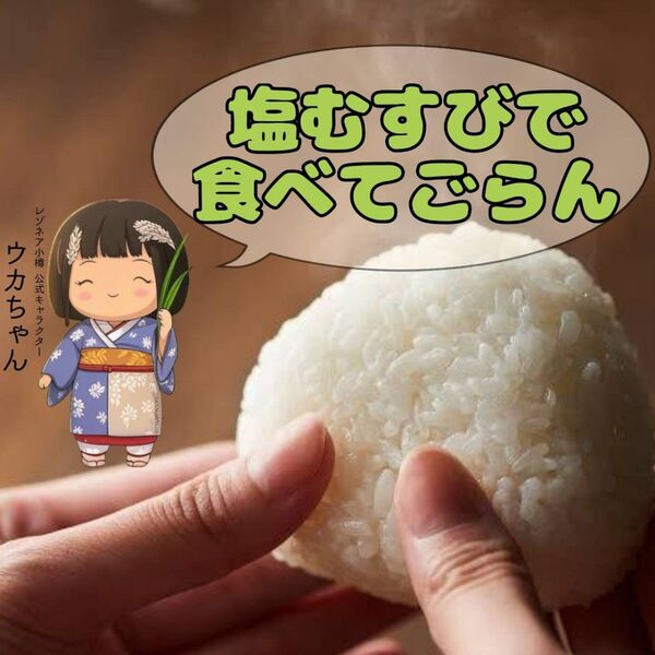 キャンペーン実施中! 北海道東川町産 令和6年産 ななつぼし エージレス 5kg×4袋 計20kg コープさっぽろ 白米 お米