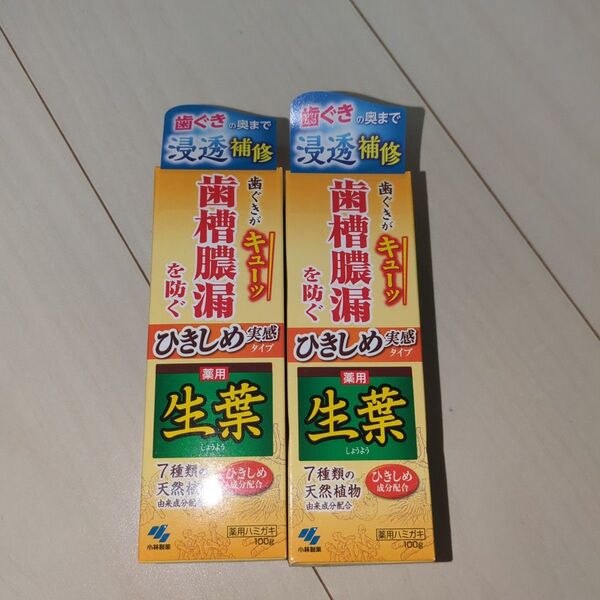 薬用 生葉 歯磨き粉 100g 2本 小林製薬 歯槽膿漏を防ぐ