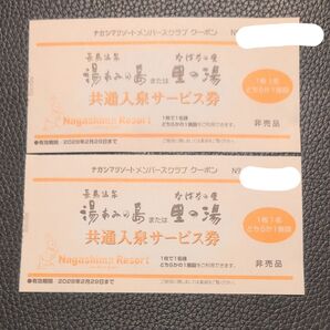 湯あみの島 里の湯 共通入泉サービス券2枚