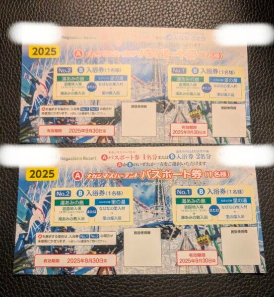 ナガシマスパーランド パスポート券 2枚