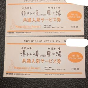 湯あみの島 里の湯 共通入泉サービス券2枚