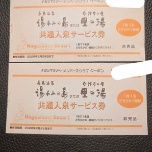 湯あみの島 里の湯 共通入泉サービス券2枚 ③