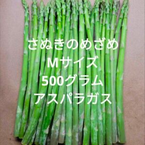 アスパラガス さぬきのめざめ Мサイズ
