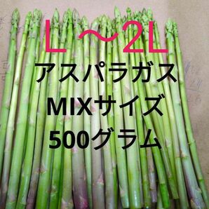 さぬきのめざめ アスパラ L〜2Lミックスサイズ