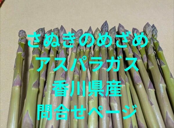 さぬきめざめ アスパラガス お問合せページ