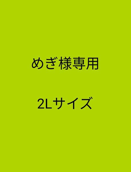 アスパラ さぬきのめざめ 2L 500グラム