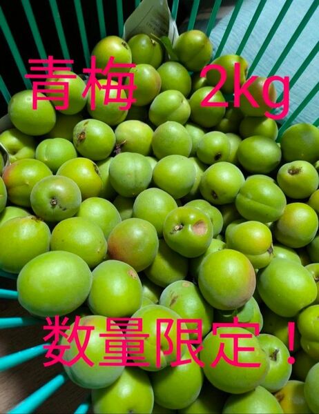 無農薬 梅ジュース