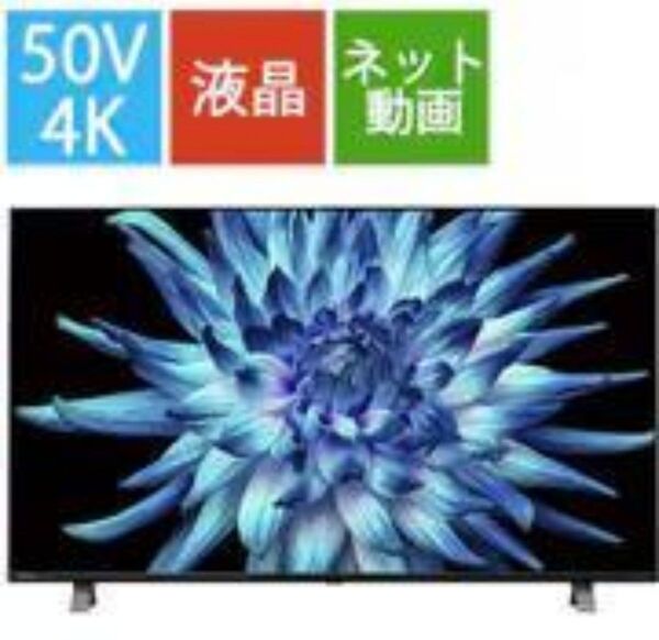 美品 2022年製 東芝 REGZA 50V型 4K液晶テレビ 50C350X