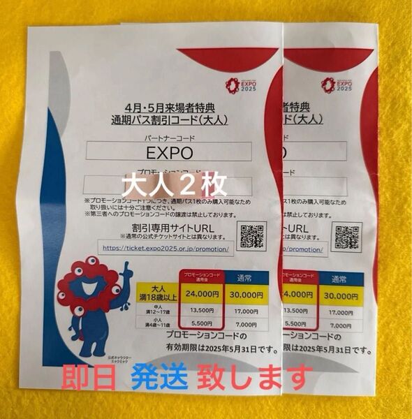 大阪関西万博2025 通期パス 大人用プロモーション2枚