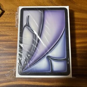 11インチ iPad Air Wi-Fi 256GB スペースグレイ 2025年モデル おまけ付き