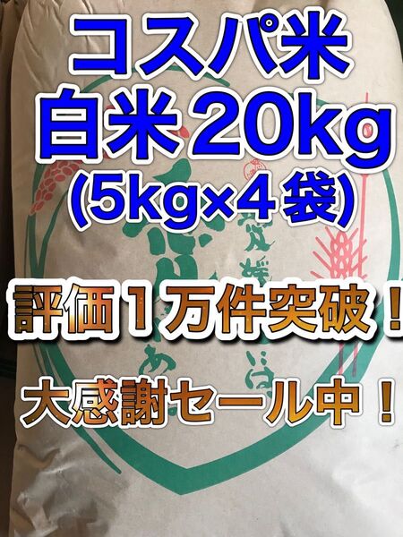 【リピーター様多数!】コスパ米20kg(5kg×4袋)お米 白米【令和6年新米入】