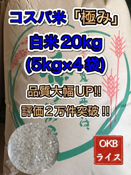 【大粒米主体】コスパ米「極み」20kg(5kg×4袋)お米 白米 愛媛のお米【令和6年新米入】
