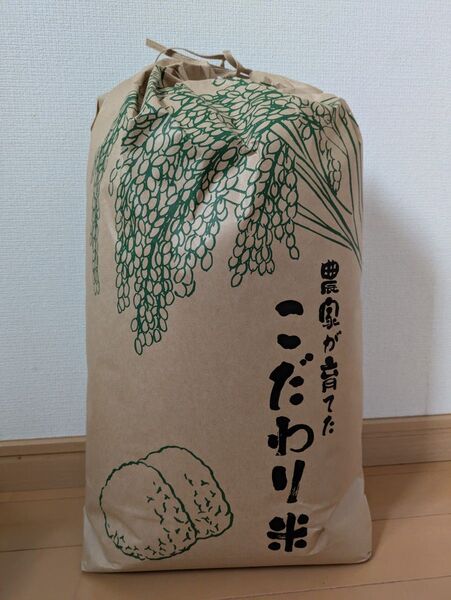 令和6年滋賀県産キヌヒカリ 白米10キロ