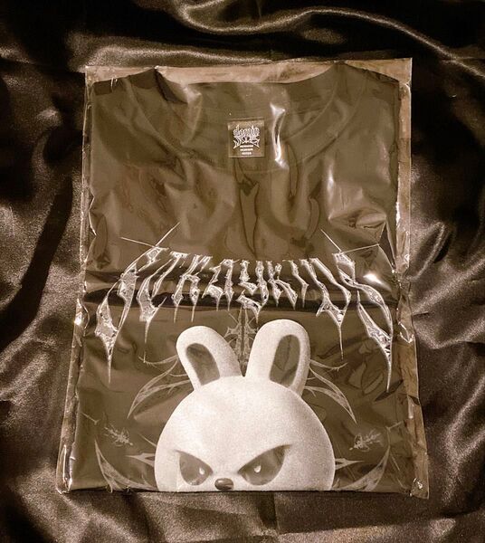 Stray Kids リノ リービット dominATE Tシャツ Leebit Lee Know エコパ EveL popup