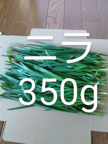 ニラ 約350g 新鮮 農薬不使用 天然物