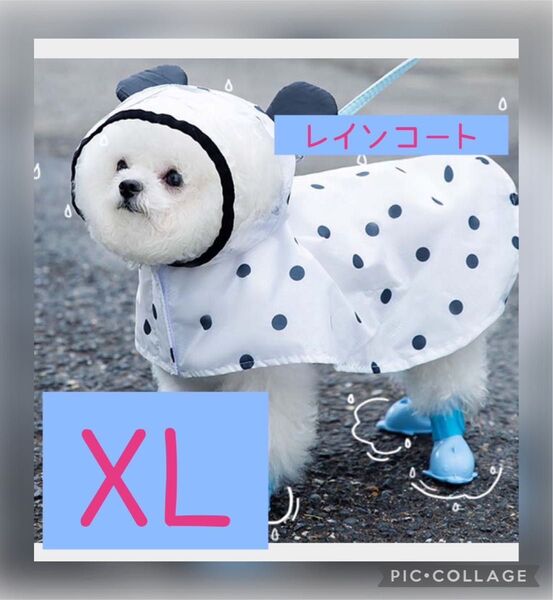 可愛い 雨具 ペット ドッグウェア 犬猫兼用 犬 X L ドット レインコート 雨具