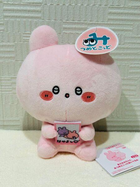 あさみみちゃん みつめとこっとぬいぐるみ マスコット タグ付き