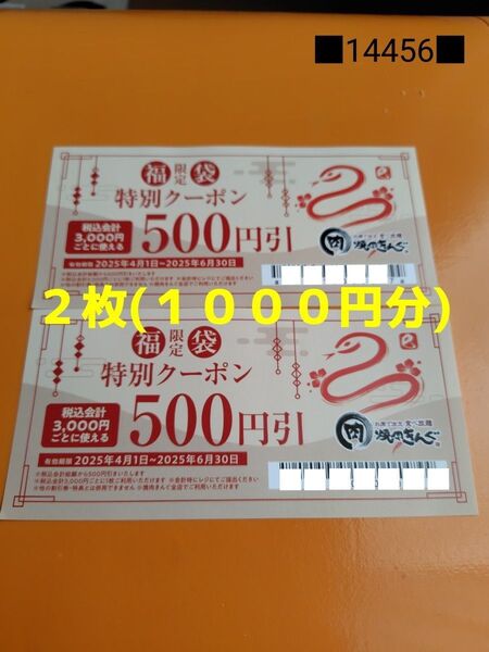 焼肉きんぐ 福袋 特別クーポン 2枚(1000円分)