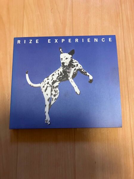 RIZE 初回限定盤EXPERIENCE アルバム