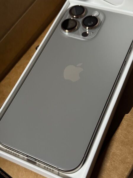 iPhone 16 Pro Max 256GB