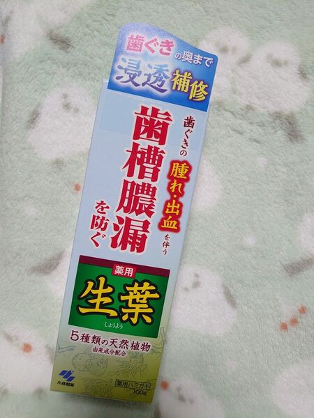 小林製薬 生葉 歯槽膿漏を防ぐ 薬用ハミガキ
