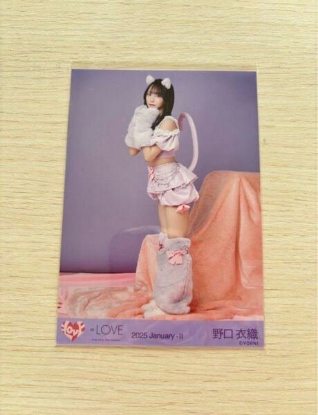野口衣織 生写真 7周年衣装 猫衣装