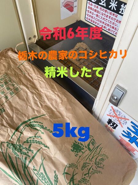令和6年 栃木県産コシヒカリ 農家のお米 5kg 精米したて 送料込