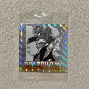 ドラゴンボール 40周年記念 ウエハース シール 二十九巻 29