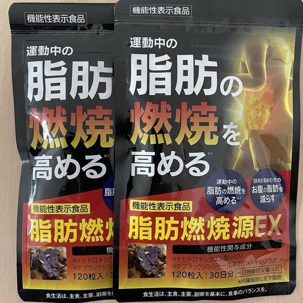 ★脂肪燃焼源EX★120粒入★2セット★機能性表示食品★ヒドロキシクエン酸★ブラックジンジャー★ポリメトキシフラボン★
