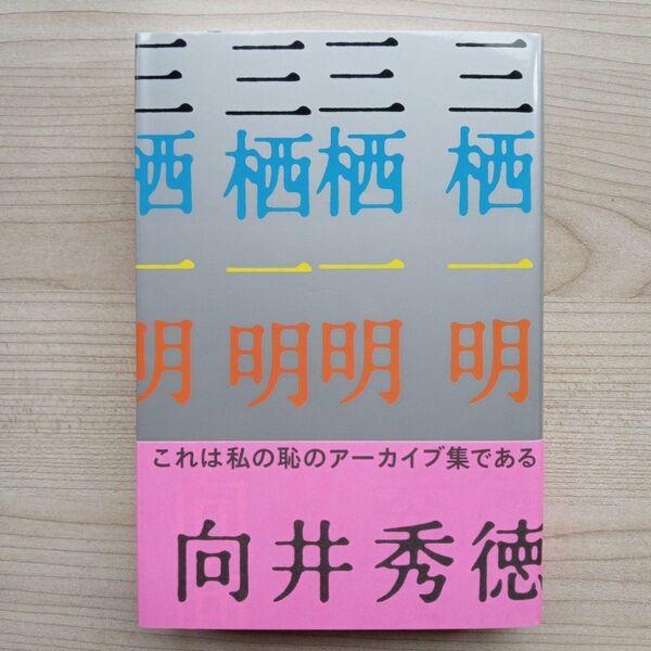 向井秀徳 三栖一明 初版 帯付き 希少 ナンバーガール NumberGirl ザゼンボーイズ ZazenBoys