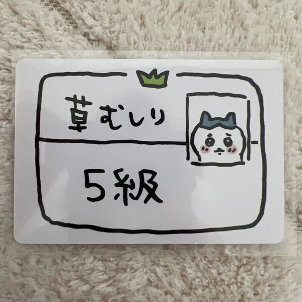 ちいかわ コレクションカードグミ 草むしり検定5級 ハチワレ