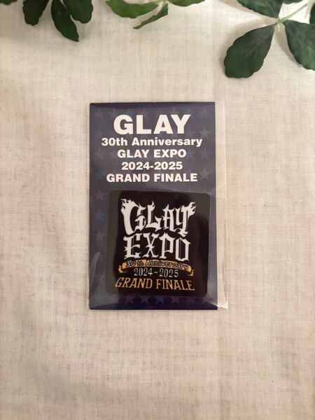 GLAY ランダムバラエティグッズ