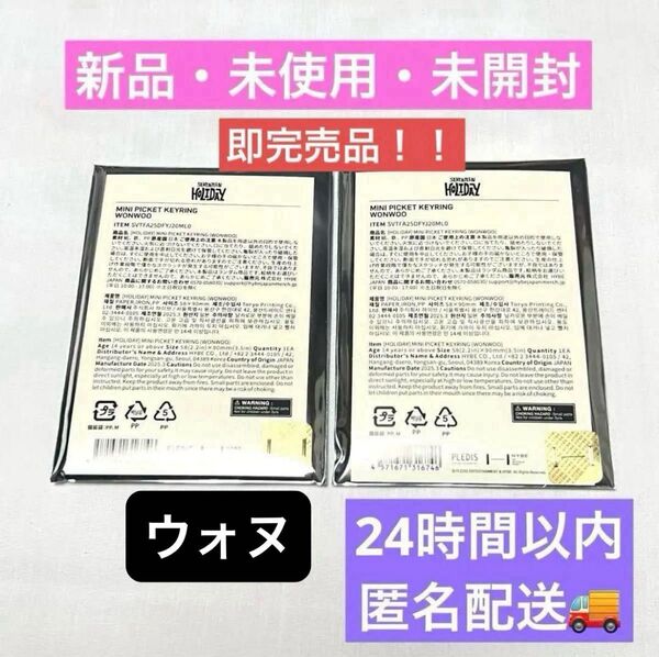 新品未開封 セブチ ウォヌ ミニピケットキーリング2点セット SEVENTEEN ペンミholiday キーホルダー ミニうちわ