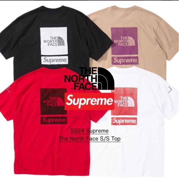 シュプリームノースフェイスTシャツL