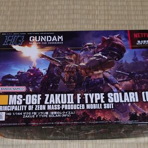 HG 1/144 ザクⅡF型 ソラリ機 (復讐のレクイエム)