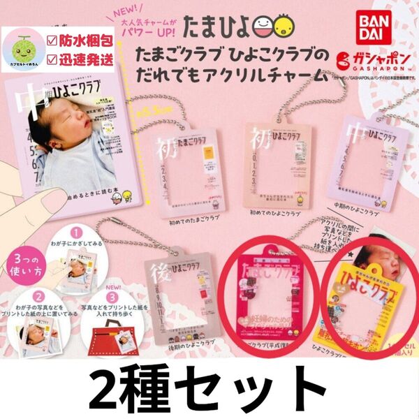 たまごクラブだれでもアクリルチャーム 2種セット たまひよ グッズ ⑤