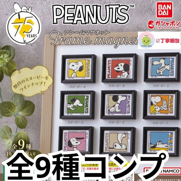 全9種コンプリートセット PEANUTS フレームマグネット 歴代スヌーピー コレクション レトロ