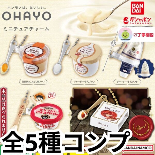 全5種コンプリートセット オハヨー乳業 OHAYO ミニチュアチャーム キーホルダー