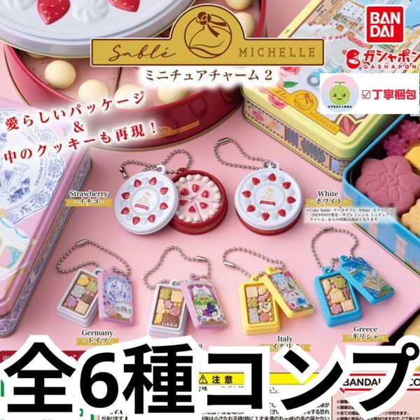 全6種コンプリートセット サブレミシェル ミニチュアチャーム 2 ストラップ キーホルダー