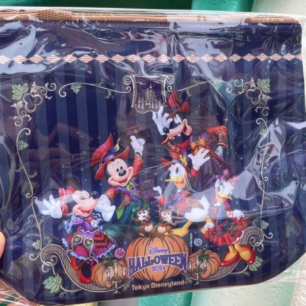 ディズニー ディズニーランド スーベニア スーベニアランチケース ランチケース ミッキー ミニー ドクターファシリエ