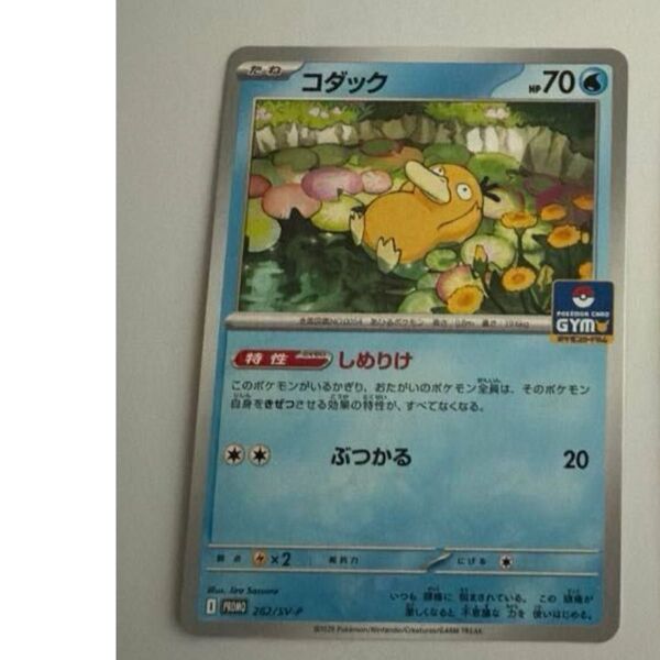 コダック しめりけ プロモ ポケカ ポケモンカード 限定