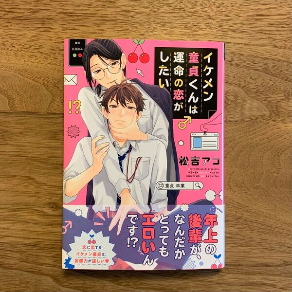 イケメン童貞くんは運命の恋がしたい