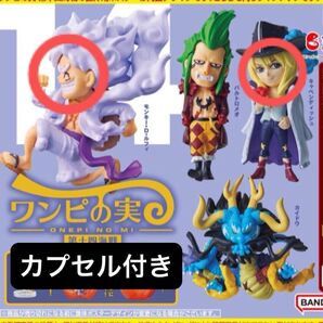 ワンピの実 第十四海戦 ガチャガチャ 2種類 カプセル有シュリンク付き