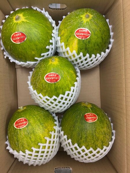 産地直送!甘いパパイヤメロン!甘くて美味しい!5玉入り!肉厚で美味しい