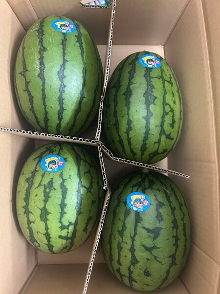 小玉スイカうりぼう4玉入り北海道東北各県沖縄発送不可