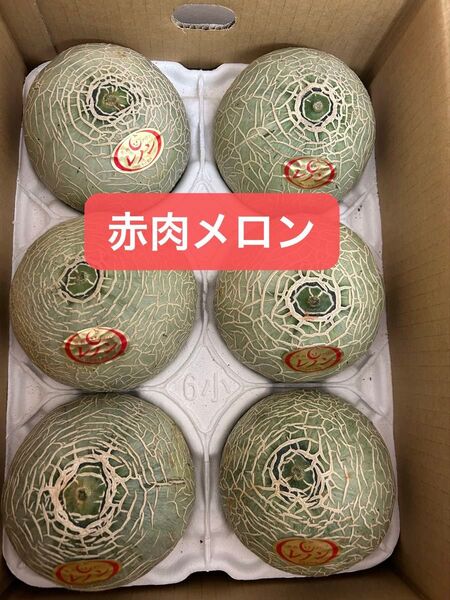 産地直送!赤肉レノンメロン!6玉入り箱込み 4.8キロ