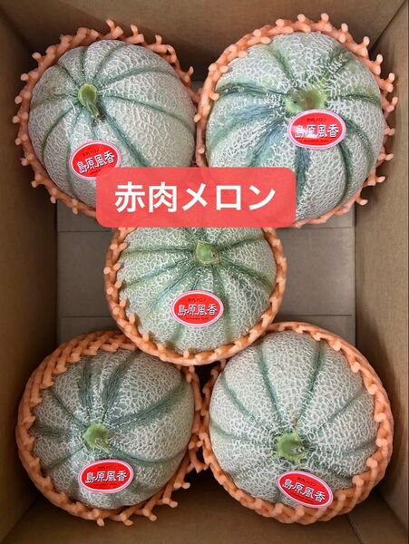 産地直送!島原風香!赤肉マルセイユメロン5玉入り 2Lサイズ箱込み5.3キロ