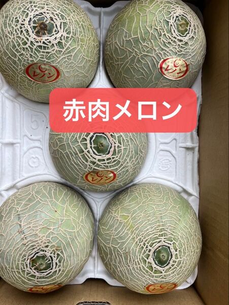 産地直送!赤肉レノンメロン!5玉入り箱込み 5キロ