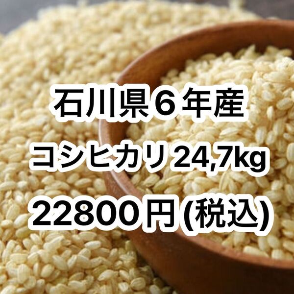令和6年 石川県産 コシヒカリ 玄米 24,7kg全国送料無料
